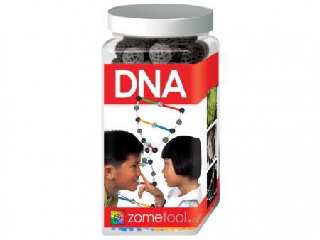 zometool DNA ]c[DNA